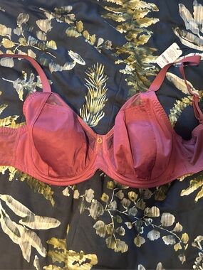 Understance Bra Size 28G